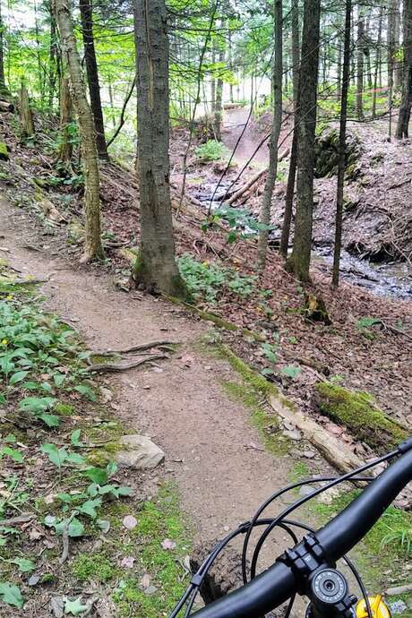 Vélo de montagne MSG