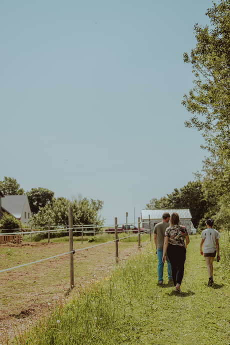 Domaine ARVI