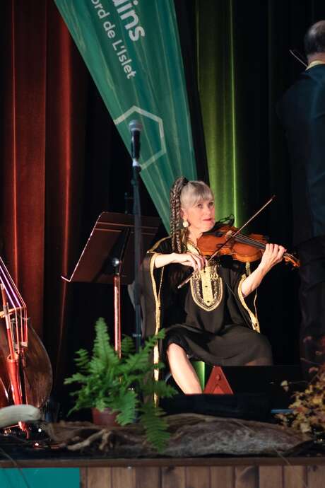 Festival des Violons d'automne