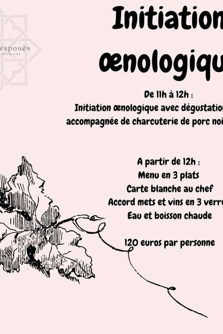 INITIATION OENOLOGIQUE