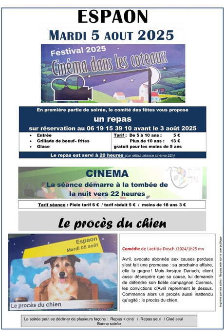 REPAS ET CINÉMA EN PLEIN AIR