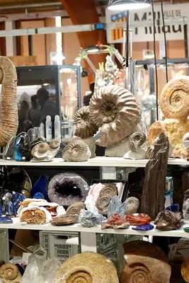 55 ème Bourse internationale aux minéraux et fossiles