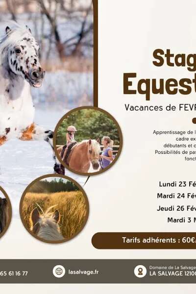 Stage d'équitation enfants / enfants et ados à la Salvage - Vacances de février