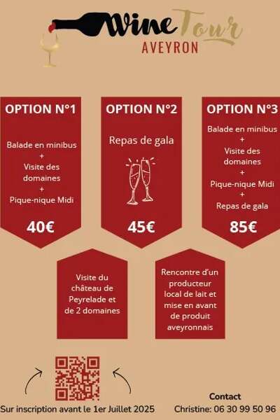 Aveyron wine tour