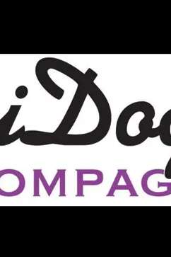 Entraînements Mantrailing - Didog's & Compagnie