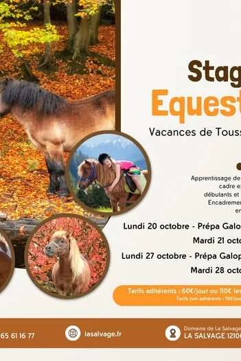Stage d'équitation enfants et ados à la Salvage - vacances de la Toussaint Stage d'équitation enfants et ados à la Salvage - vacances de la Toussaint