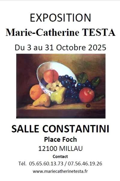 Exposition  de Marie-Catherine Testa - Salle Costantini