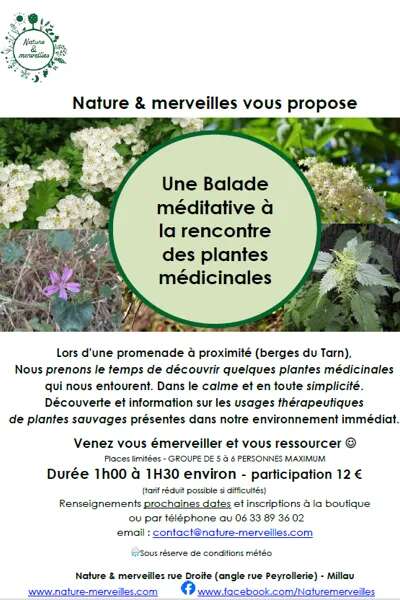 Balade à la rencontre des plantes médicinales - Nature et Merveilles