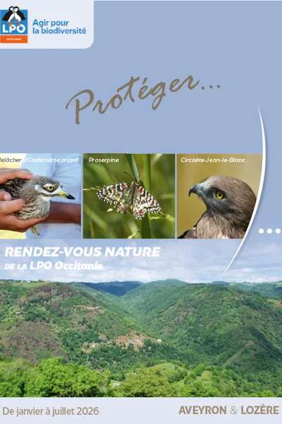 Les passereaux du Causse Noir - LPO Aveyron