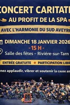 Concerts et vide-grenier caritatifs au profit de la SPA