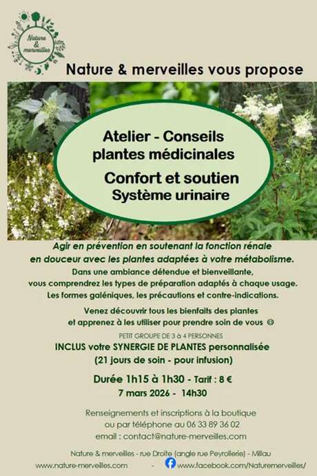 Atelier conseils plantes médicinales " confort et soutien système urinaire " - Nature et Merveilles