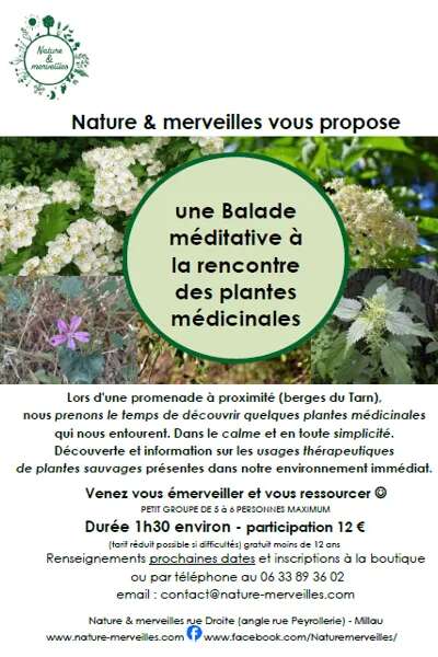 Balade à la rencontre des plantes médicinales - Nature et Merveilles
