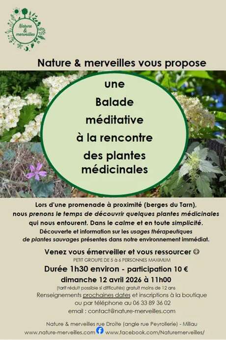 Balade à la rencontre des plantes - Nature et Merveilles