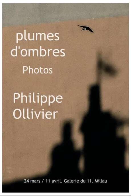 Exposition  Plumes d'ombres (photos) de Philippe Ollivier - Galerie du 11 rue de la Capelle