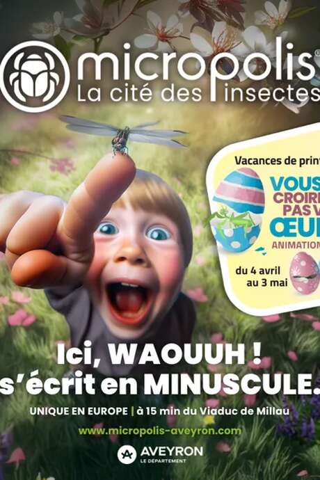 « Chasse aux œufs...de phasmes ! » - Micropolis