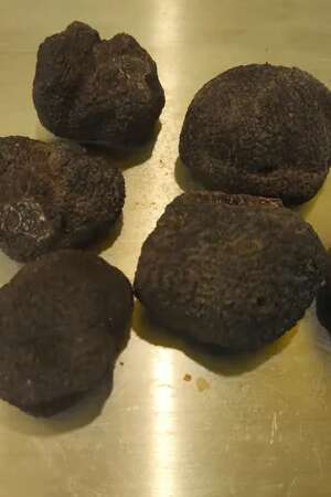 Marché de Noël et Fête de la Truffe