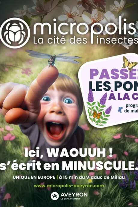 Visite guidée Maison Natale JH FABRE - Micropolis