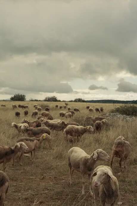 Exposition photo "droit de parcours "