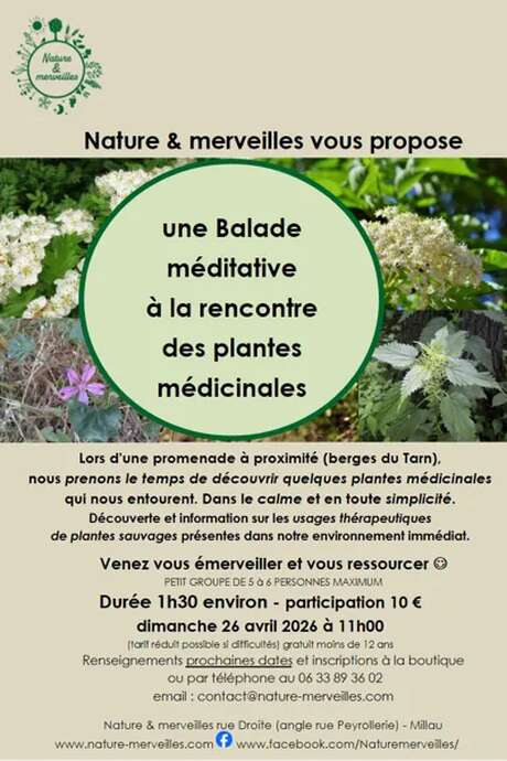 Balade méditative à la rencontre des plantes médicinales - Nature et Merveilles