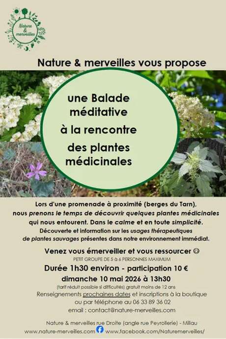 Balade méditative "plantes médicinales " - Nature et Merveilles