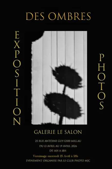Exposition " des ombres " - Galerie le Salon