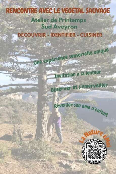 Journée immersive rencontre et atelier cuisine - La Cerise qui Rit