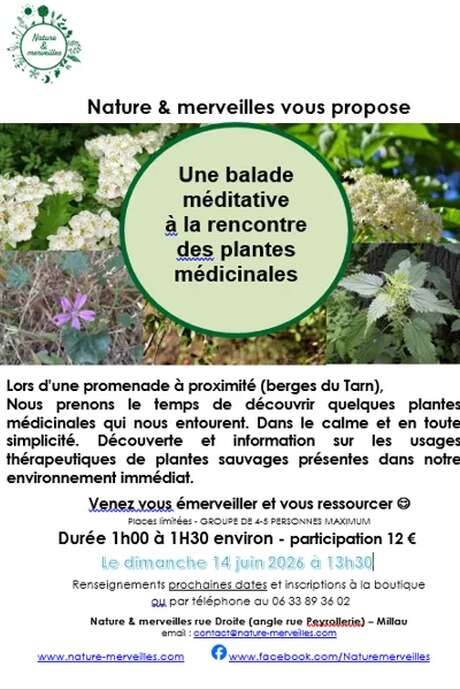 Balade méditative "plantes médicinales " au mois de juin - Nature et Merveilles