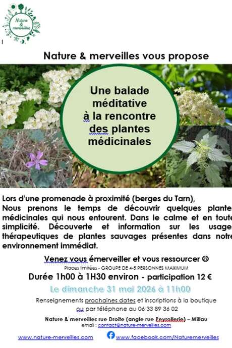 Balade méditative "plantes médicinales " au mois de mai - Nature et Merveilles
