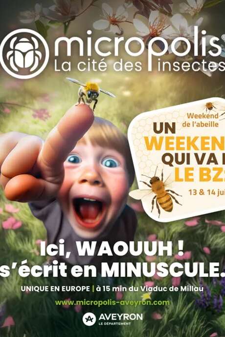 Fête de l'Abeille - Micropolis