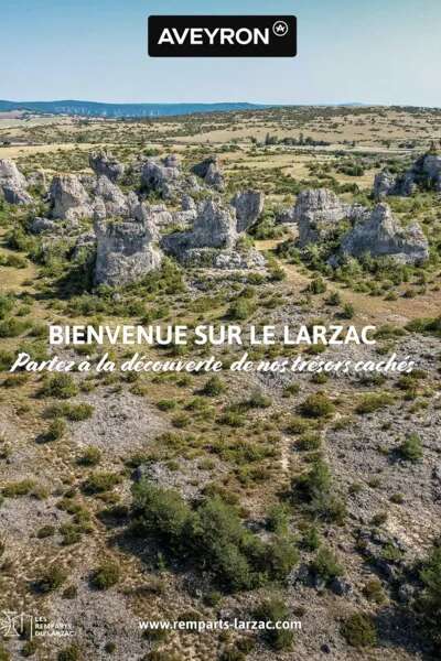 Le Larzac vivant : transhumance, savoir-faire et villages templiers