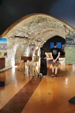 Le Larzac vivant : transhumance, savoir-faire et villages templiers