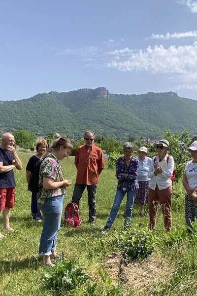 Sorties botaniques - Victoria Linhares - le Sentier des Herbes