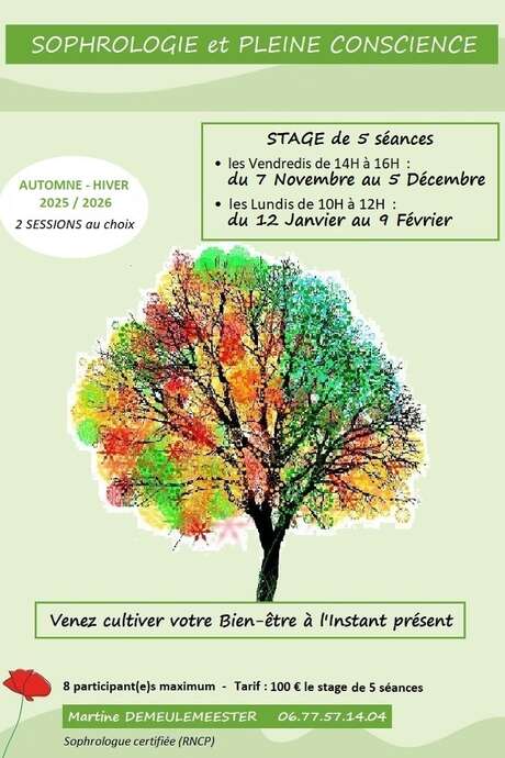 Stage : Sophrologie et Pleine Conscience
