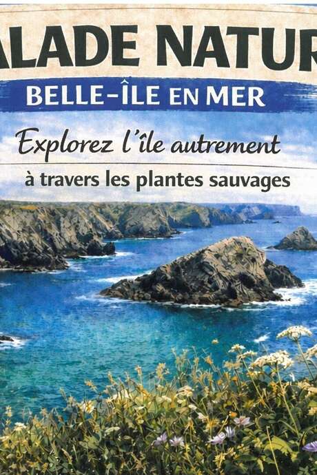 Balade nature : "Explorez l'ile autrement à travers les plantes sauvages