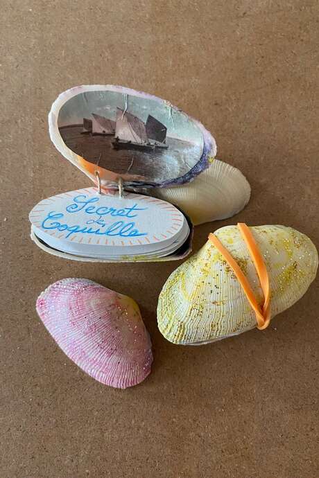 Les jeu(x)dis d'été - Les coquillages ont des histoires à raconter