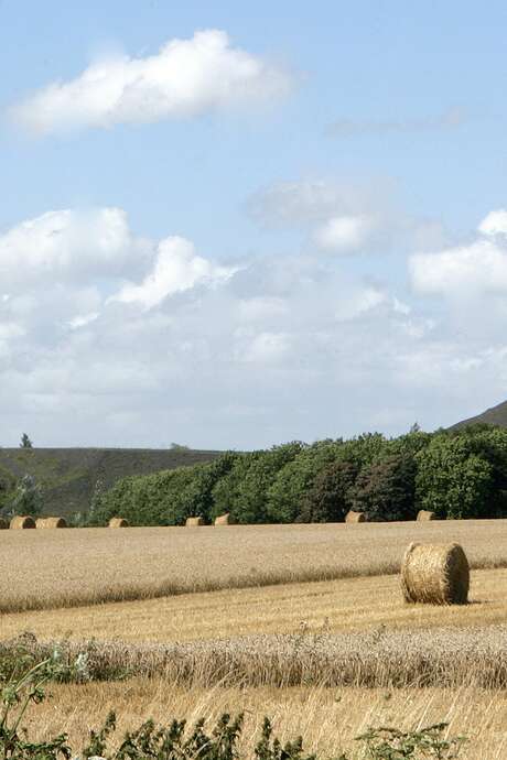 Visite running spéciale Art déco