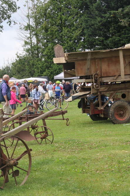 Foire à l'ail