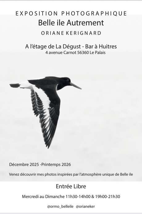 Exposition Oriane Kerignard "Belle Ile Autrement"