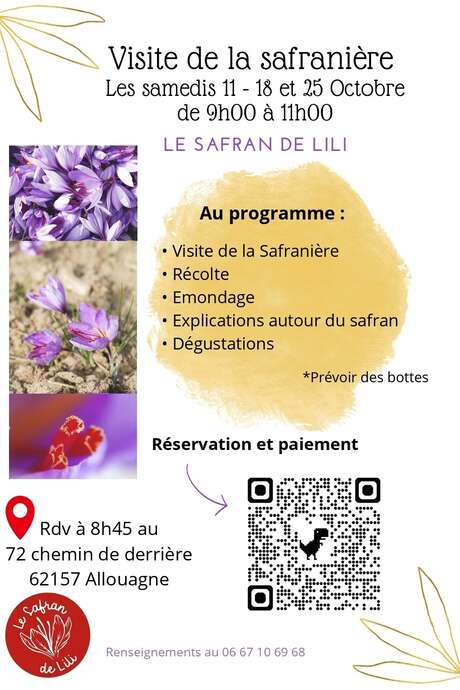 Visite de la safranière