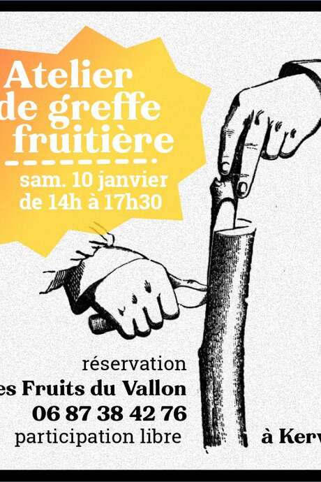 Atelier de greffe fruitière