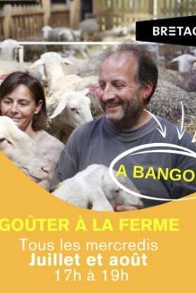 Goûter à la ferme