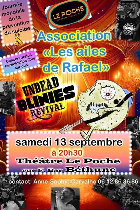 Concert solidaire - Les ailes de Raphaël