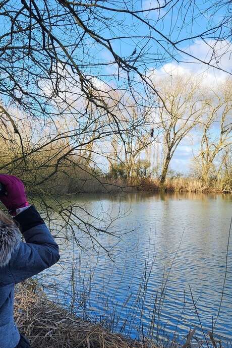 Animation Samedi  nature "En quête d'oiseaux d'eau"