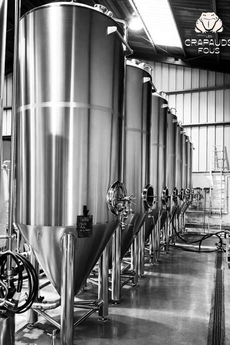 Visite et dégustation avec Les Crapauds Fous : brasserie artisanale et gourmande