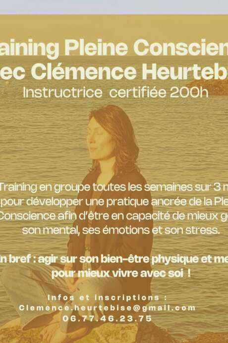 Training Pleine Conscience-Gérer son mental, ses émotions et son stress.