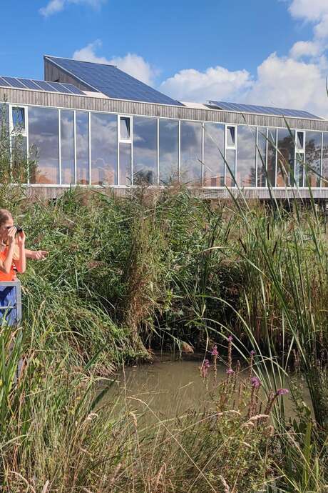 Animation Samedi  nature "Explorateurs du printemps"