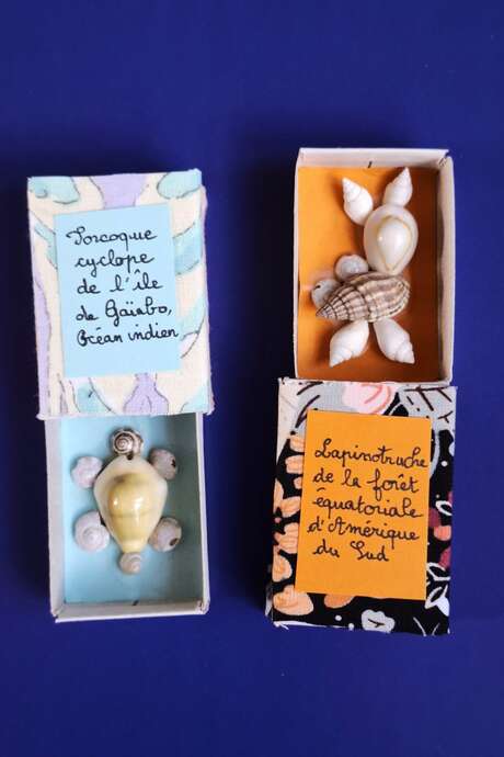 Les jeu(x)dis d'été - Chimère coquillage