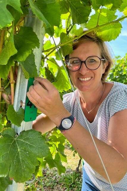 Rencontre et dégustation avec Terres de Grés : Rendez-vous au nouveau chai