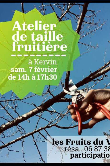 Atelier de taille fruitière