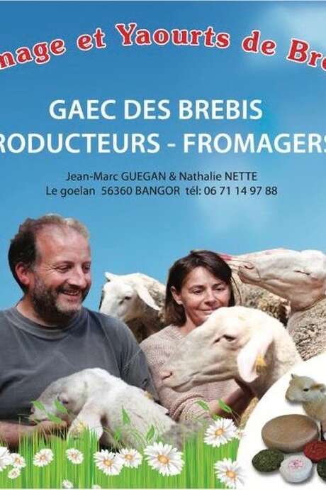 Bienvenue à la ferme : visite guidée immersive à la ferme des brebis